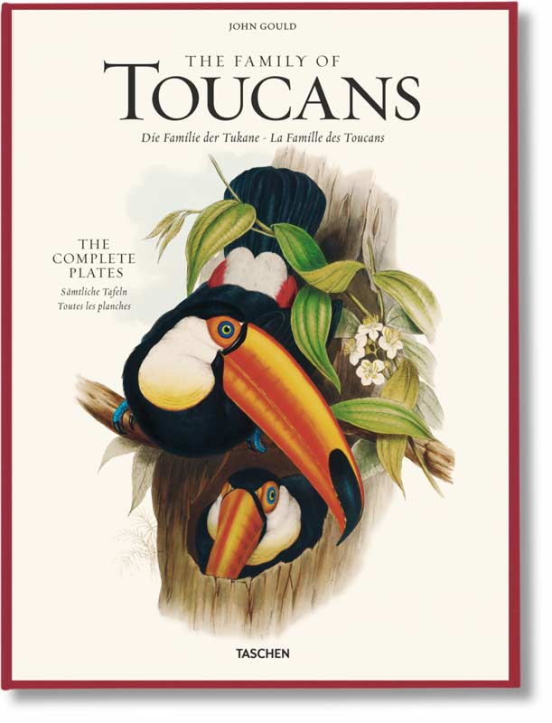 JOHN GOULD. THE FAMILY OF TOUCANS - set di stampe