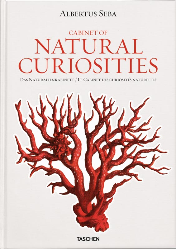 SEBA. CABINET OF NATURAL CURIOSITIES (INT) - OUTLET