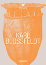 KARL BLOSSFELDT  - OUTLET