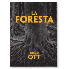 LA FORESTA