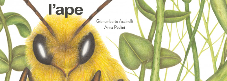 L'APE E IL FANTASMA DELL'ALVEARE