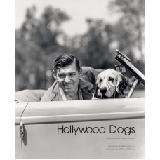 HOLLYWOOD DOGS (I)