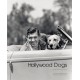 HOLLYWOOD DOGS (I)