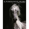 IL PUROSANGUE ARABO (I/GB/E/P) - OUTLET
