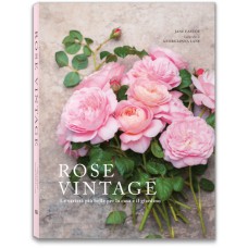 ROSE VINTAGE