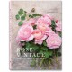 ROSE VINTAGE