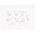 KIWI - SCHIZZI - ORIGINAL DRAWING