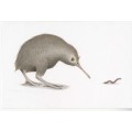 KIWI - vs Lombrico - ORIGINAL DRAWING