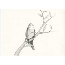 Bird #2 - ORIGINAL DRAWING