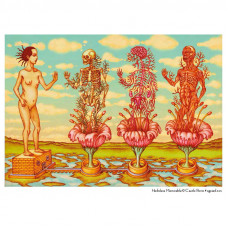 CAYETANA TRASFIGURATA #1 #HERBOLARIA . FINE ART PRINT