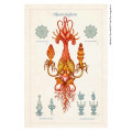 CAYETANA TRASFIGURATA #3 #HERBOLARIA . FINE ART PRINT