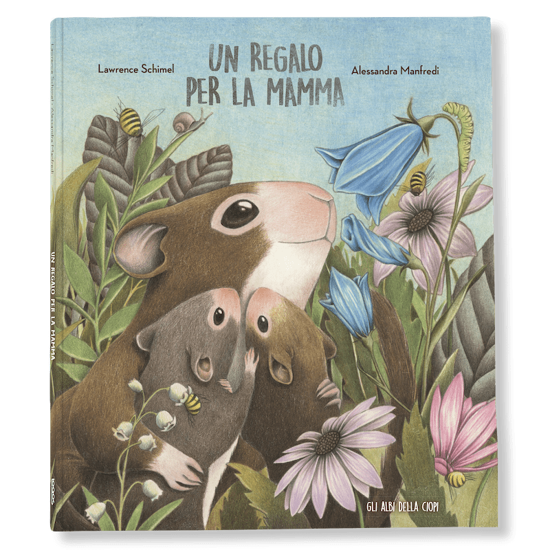 Un libro per regalo.