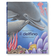 IL DELFINO