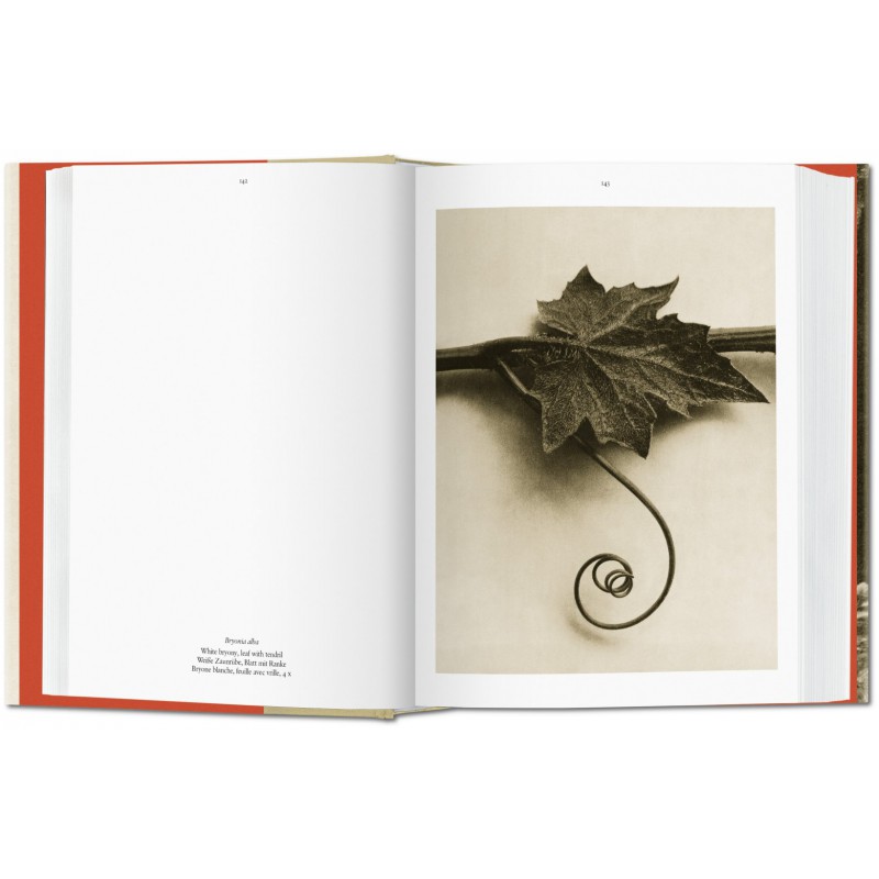 KARL BLOSSFELDT. THE COMPLETE PUBLISHED WORK (IEP