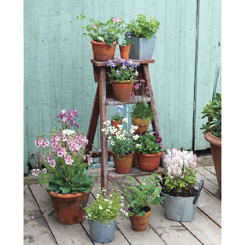 35 piccoli giardini. idee e progetti per spazi ridotti logos ... Immagini piccoli giardini