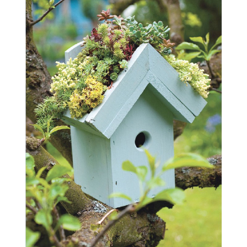 35 piccoli giardini. idee e progetti per spazi ridotti logos ... Immagini piccoli giardini