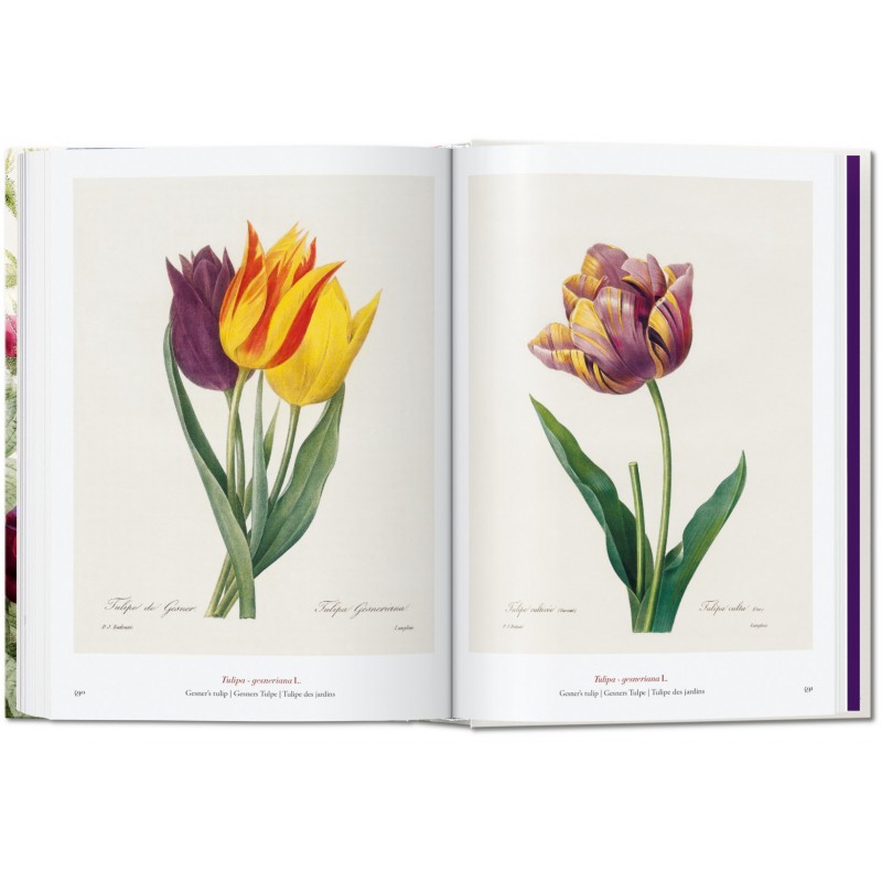REDOUTÉ. BOOK OF FLOWERS (IE) 40 Taschen Libri.it