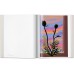 DAVID HOCKNEY. MY WINDOW - edizione limitata