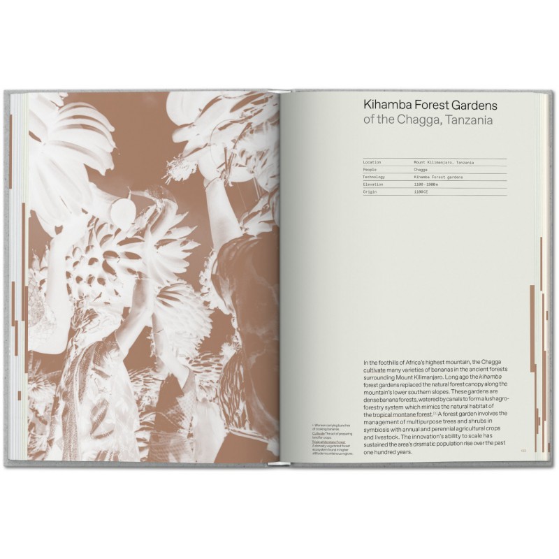 Julia watson lo tek design by radical indigenism taschen libri it