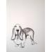 A DOG A DAY