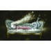 BEAUTIFUL NIGHTMARES (nuovo formato) - OUTLET