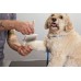 DIY TOELETTA PER CANI - OUTLET