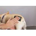 DIY TOELETTA PER CANI - OUTLET