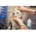 DIY TOELETTA PER CANI - OUTLET