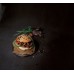 CUCINARE CON GLI INSETTI