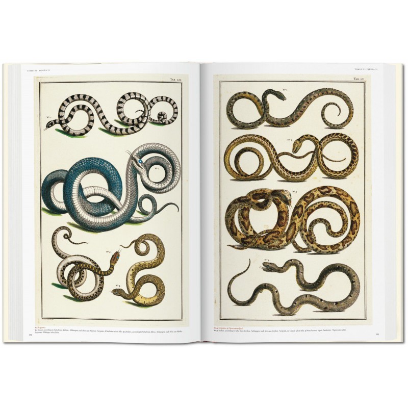 Albertus Seba S Cabinet Of Natural Curiosities Taschen Libri It
