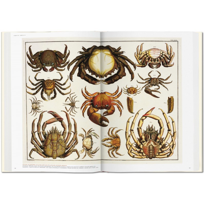 ALBERTUS SEBA'S CABINET OF NATURAL CURIOSITIES - Taschen ...