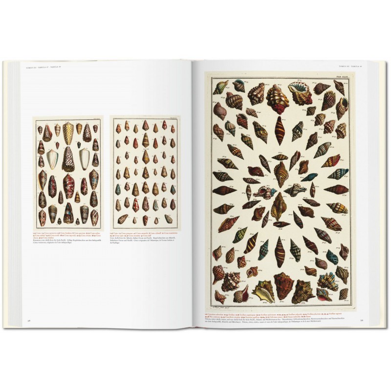 Albertus Seba S Cabinet Of Natural Curiosities Taschen Libri It