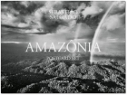POSTCARDS/CARTOLINE SEBASTI�O SALGADO - AMAZONIA