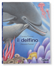 IL DELFINO